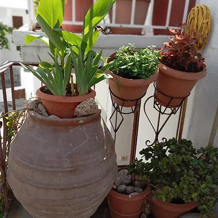 Myrto's Traditional House Apartament