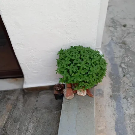 Myrto's Traditional House * Skyros